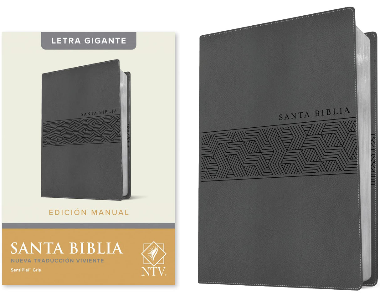 Biblia NTV Edicion manual gris