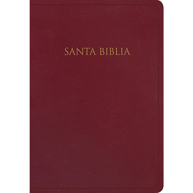 Biblia RVR1960 Regalos y premios borgoña