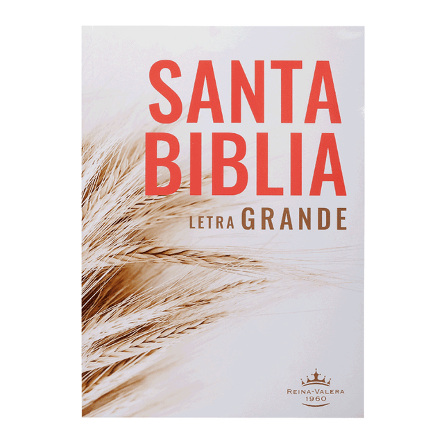 Biblia RVR60 rústica letra grande - Librería Libros Cristianos - Biblia