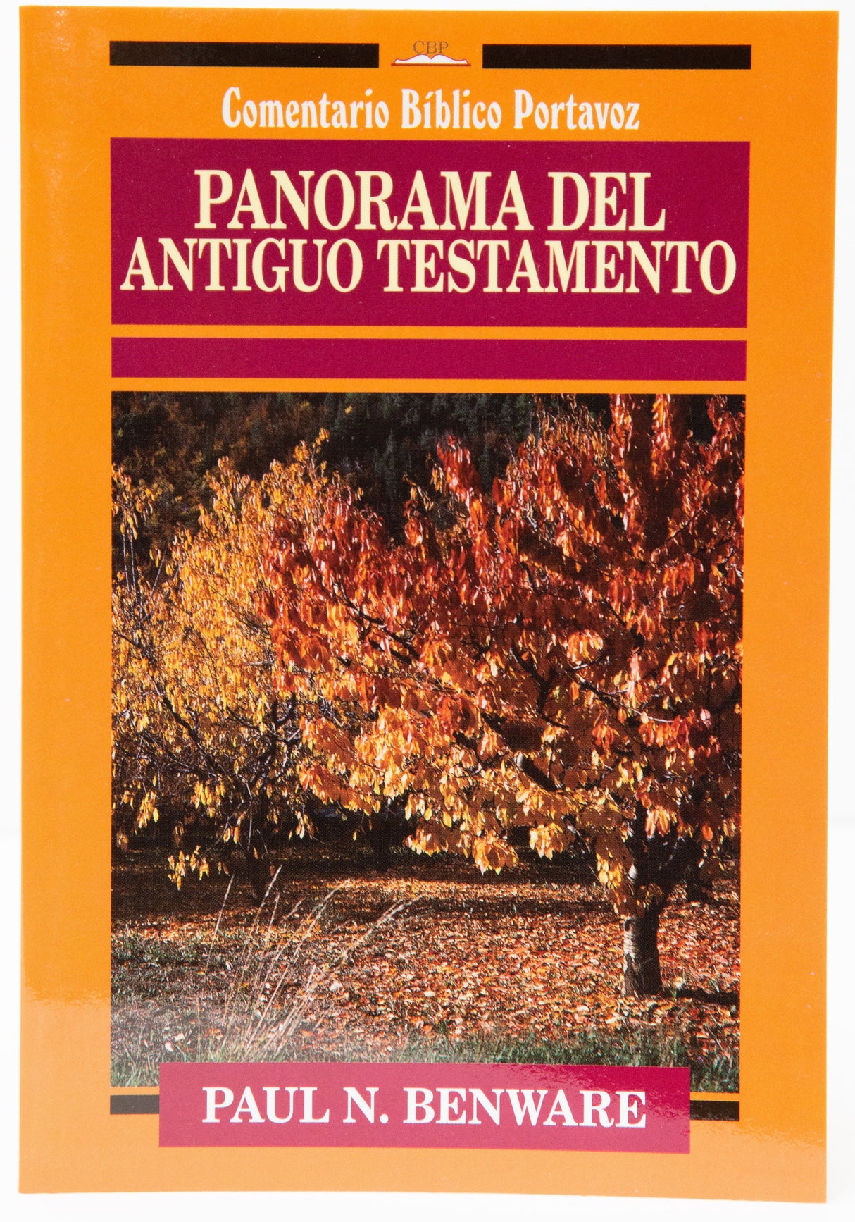 Panorama del Antiguo Testamento - Rustico - Librería Libros Cristianos - Libro