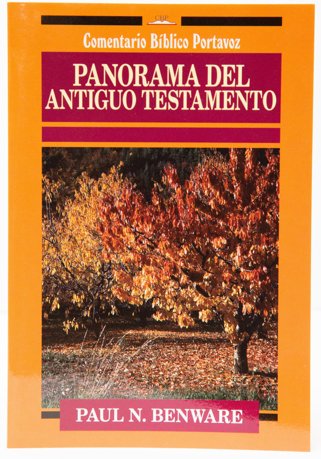 Panorama del Antiguo Testamento - Rustico - Librería Libros Cristianos - Libro