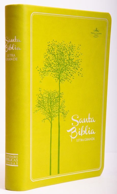 Biblia Mediana Verde Letra Grande - Librería Libros Cristianos - Biblia